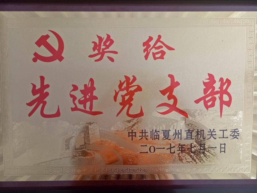 先进党支部奖牌